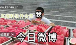 明星吃瓜视频大全爆料软件下载,揭秘热门爆料软件下载攻略
