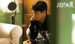 半夏电视剧,探寻半夏之谜，揭开情感纠葛与成长历程