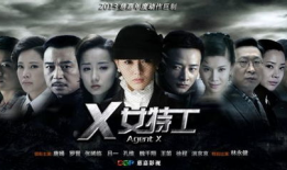 x电视剧,穿越时空的传奇爱情