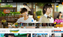 电视剧芒果tv,打造国产电视剧新标杆