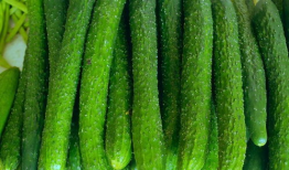 黄瓜特效爆料吃瓜抖音,抖音吃瓜新潮流