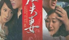 夫妻的电视剧,携手共度风雨路