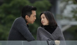 十年电视剧,回顾经典电视剧的辉煌历程