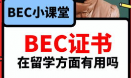 吃瓜视频爆料小说免费阅读,热门小说免费阅读背后的秘密