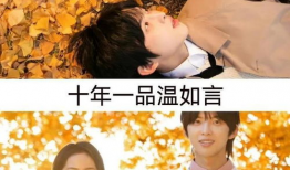 最近上映的新电视剧,揭秘近期热门电视剧背后的奇幻之旅