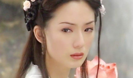 何仙姑电视剧,仙凡情缘，揭秘千年传说