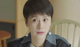 海清 电视剧,演绎人生百态，诠释时代变迁