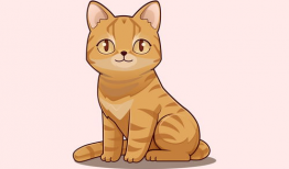 动漫猫咪,猫咪世界的奇幻冒险