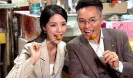 郭晋安电视剧,情感与正义的交织篇章