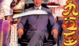 九五之尊电视剧,宫廷权谋与帝位争夺的传奇风云