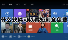 什么软件可以免费看电视剧,揭秘免费观看电视剧的神奇软件