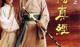 古装武侠电视剧,剑影侠骨，古风传奇