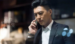 靳东主演的电视剧大全,从伪装者到人民的正义——一部部经典剧作的精彩回顾