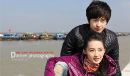 半夏电视剧,探寻半夏之谜，揭开情感纠葛与成长历程