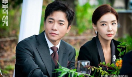 夫妻的电视剧,携手共度风雨路