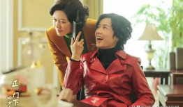 蒋雯丽演的电视剧,情感纠葛与人生抉择