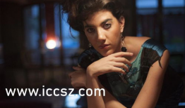 沉默的谎言电视剧全集观看,揭秘真相与人性挣扎的悬疑剧